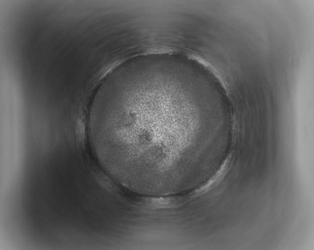 X0000101441401200807211202