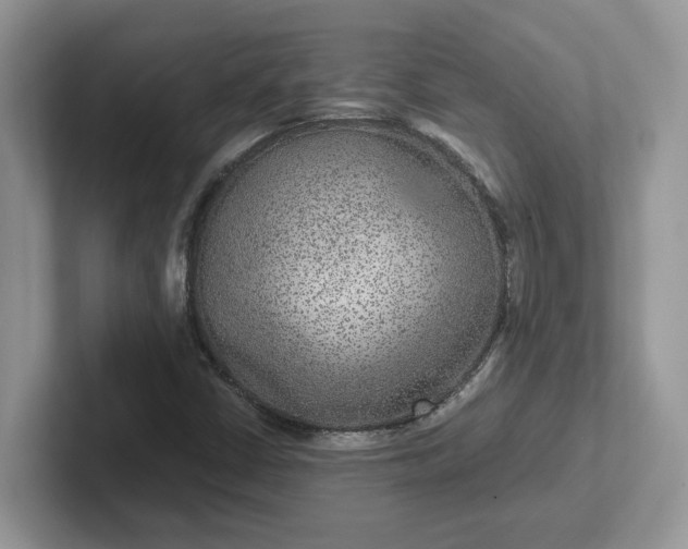 X0000101441402200807211202