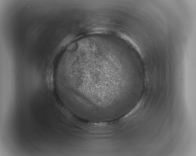 X0000101441403200807211202