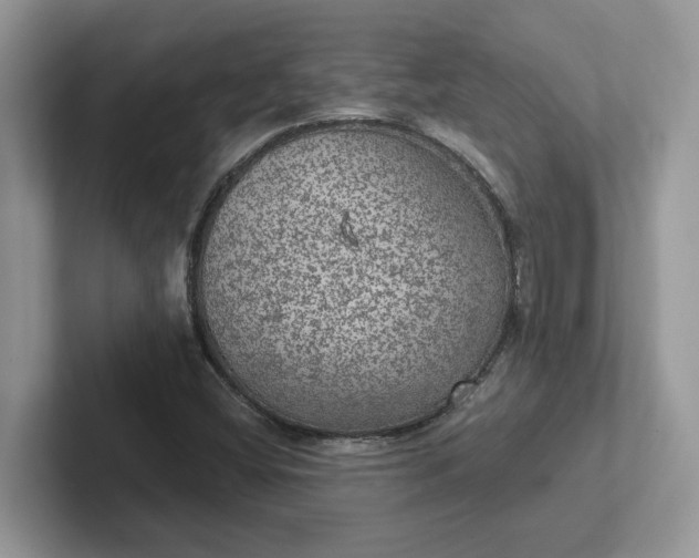 X0000101441404200807211202