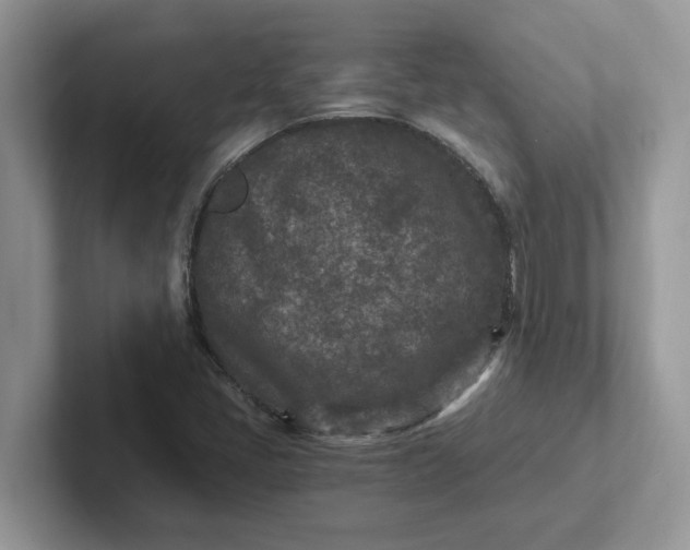 X0000101441405200807211202