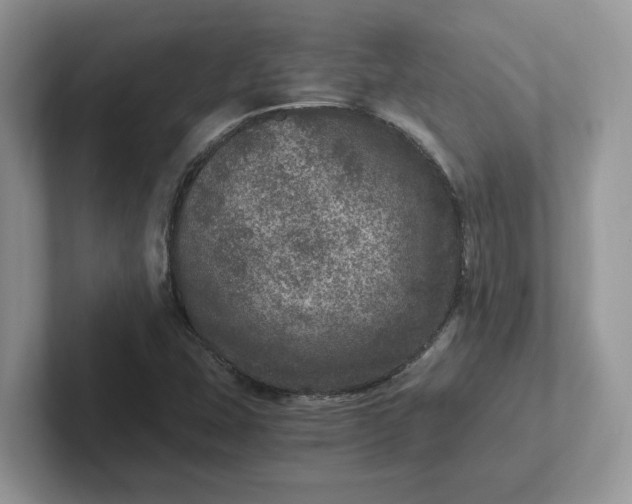 X0000101441407200807211202