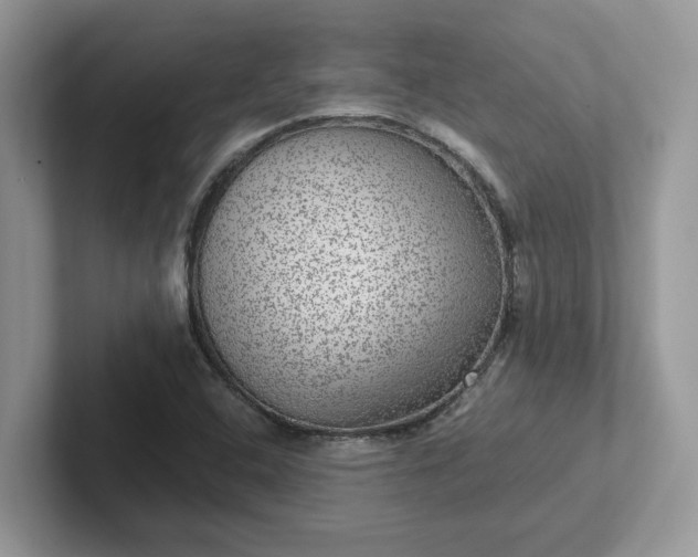 X0000101441408200807211202