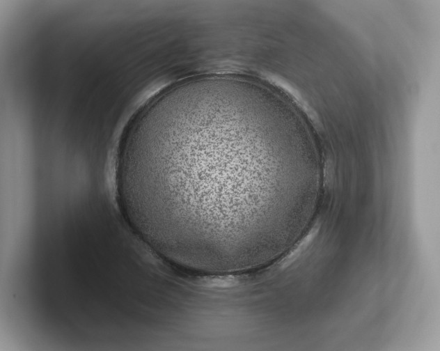 X0000101441410200807211202