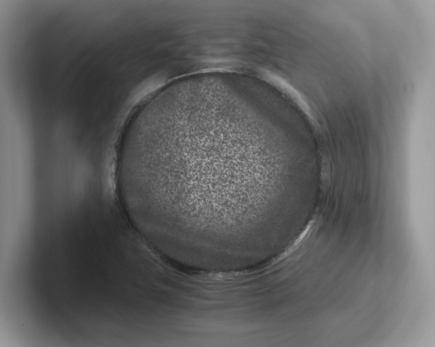 X0000101441411200807211202