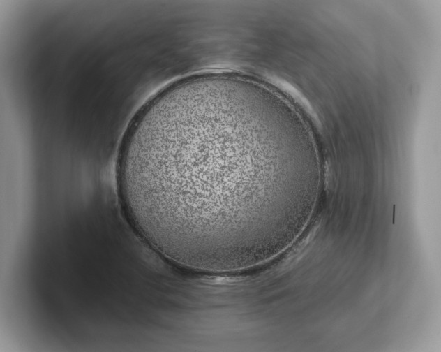 X0000101441412200807211202