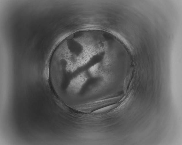 X0000101441413200807211202