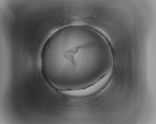 X0000101441414200807211202