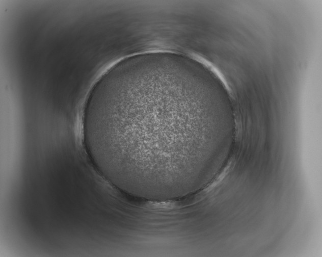 X0000101441415200807211202