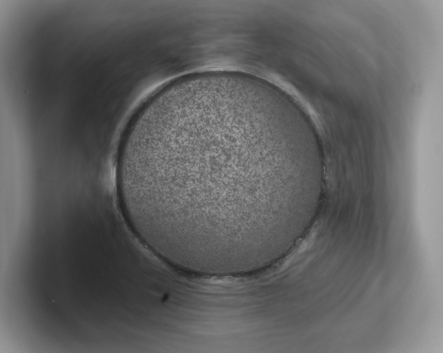 X0000101441416200807211202