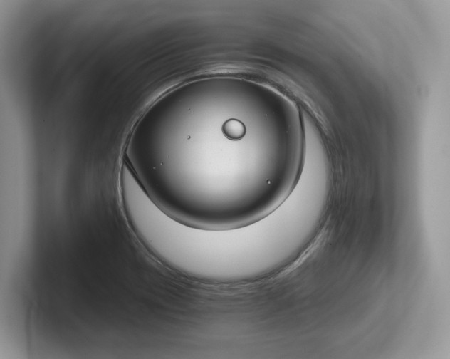 X0000101441417200807211202