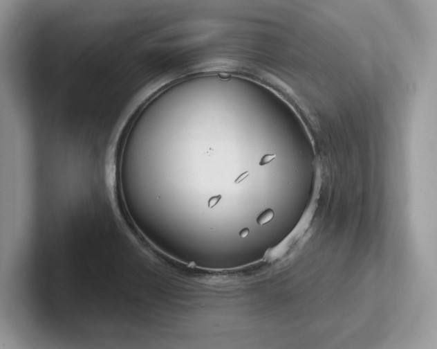 X0000101441418200807211202