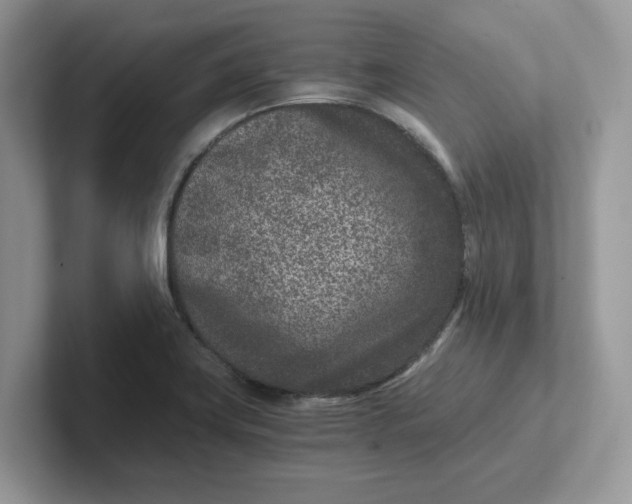 X0000101441419200807211202