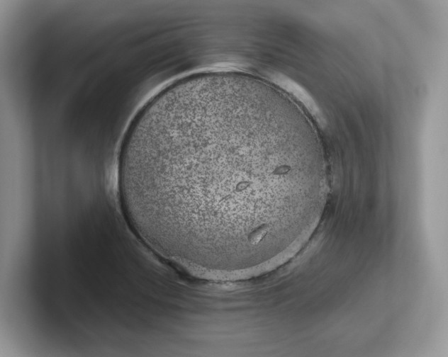 X0000101441420200807211202