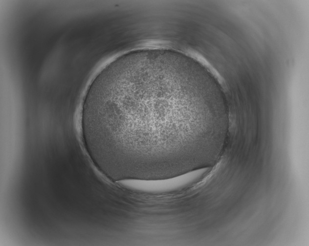 X0000101441421200807211202