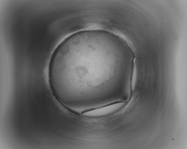 X0000101441422200807211202