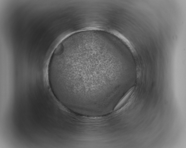 X0000101441423200807211202