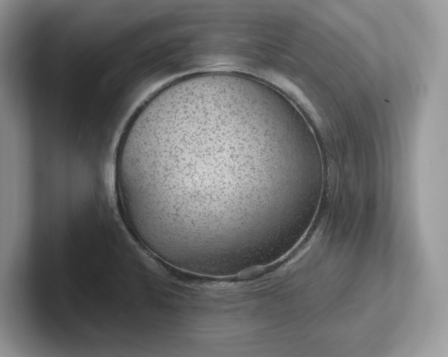 X0000101441424200807211202