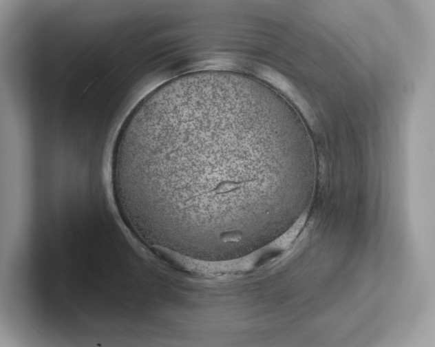 X0000101441426200807211202