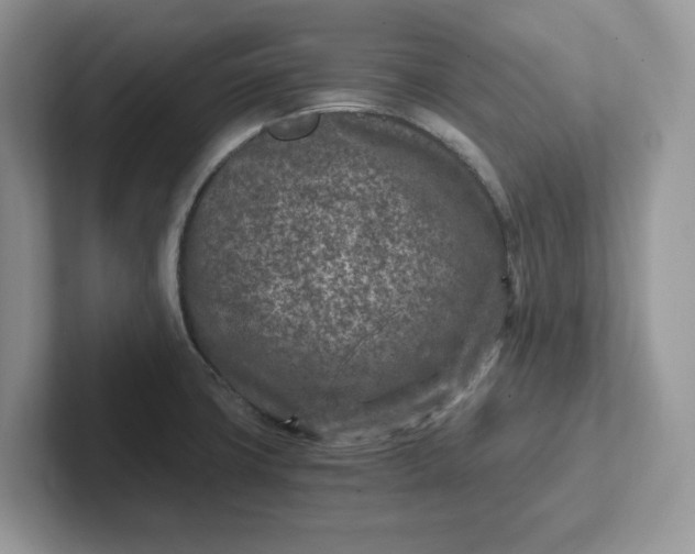 X0000101441427200807211202