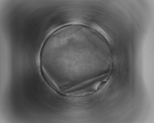 X0000101441428200807211202