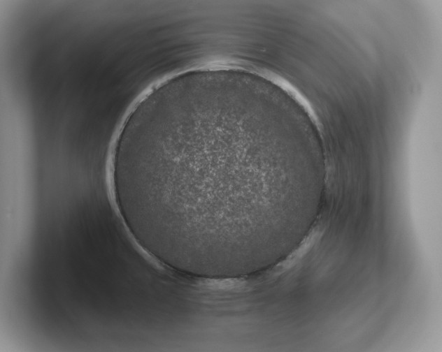 X0000101441429200807211202