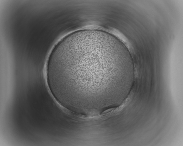 X0000101441430200807211202