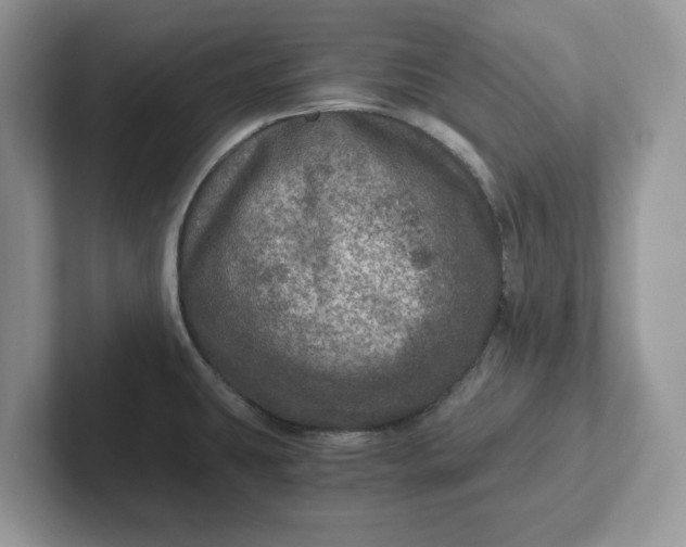 X0000101441431200807211202