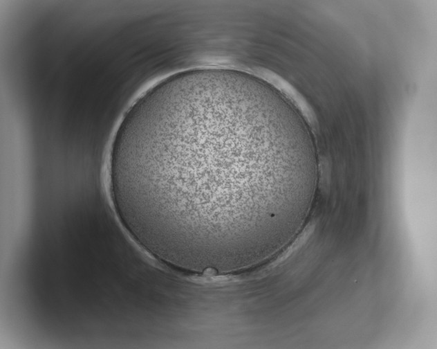 X0000101441432200807211202