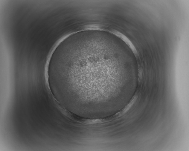 X0000101441435200807211202