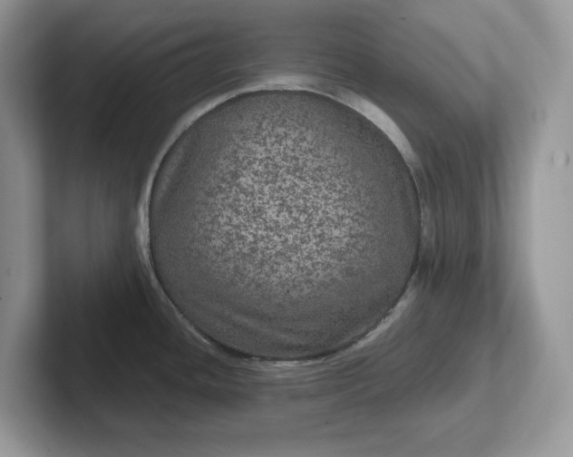 X0000101441436200807211202