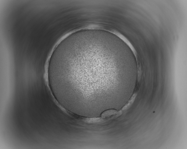 X0000101441437200807211202