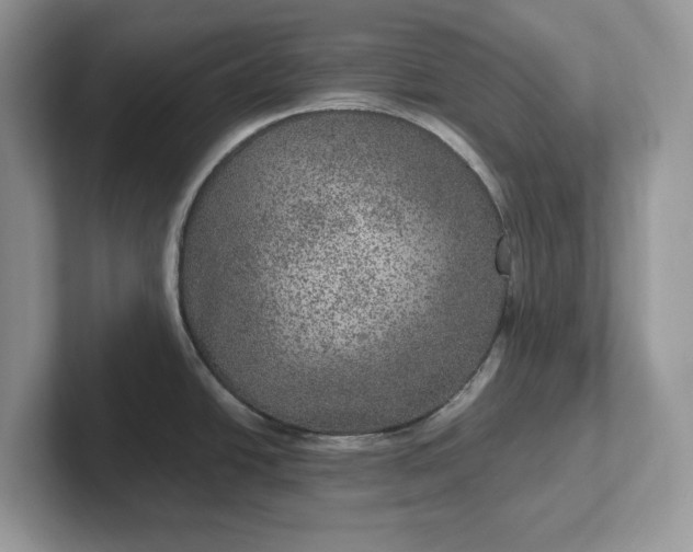 X0000101441438200807211202