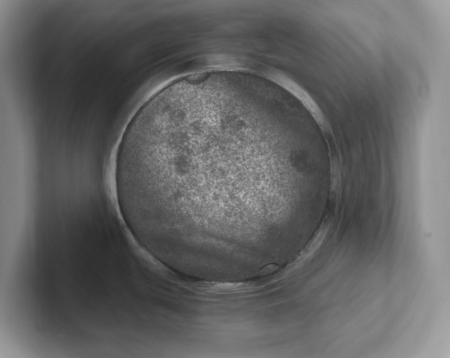 X0000101441439200807211202