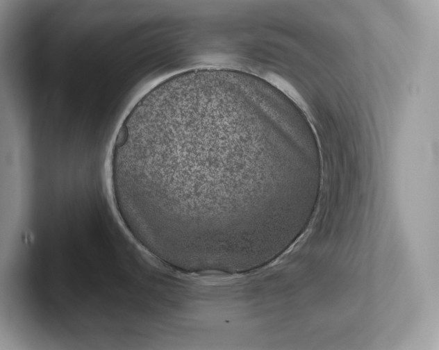 X0000101441440200807211202