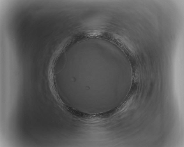 X0000101441441200807211201