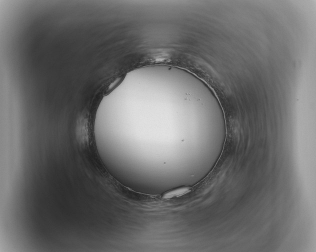 X0000101441442200807211201