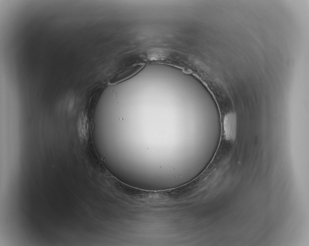 X0000101441443200807211201