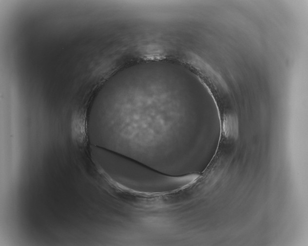 X0000101441444200807211201