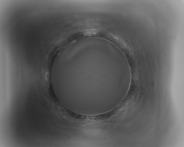 X0000101441445200807211201