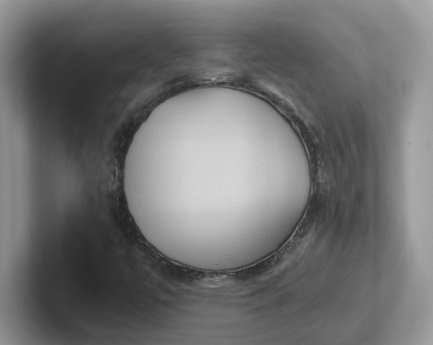 X0000101441447200807211201