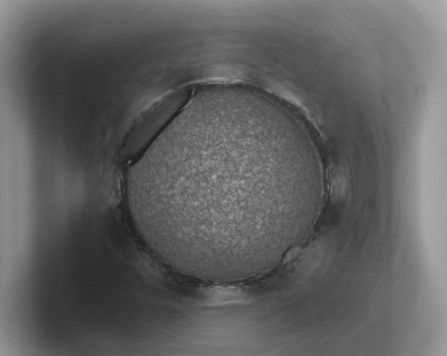 X0000101441448200807211201