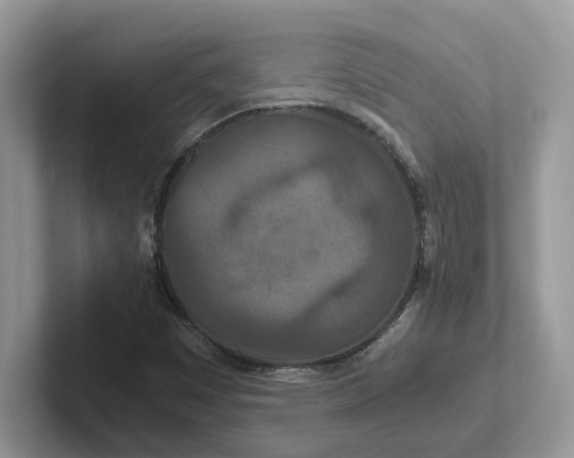 X0000101441449200807211201