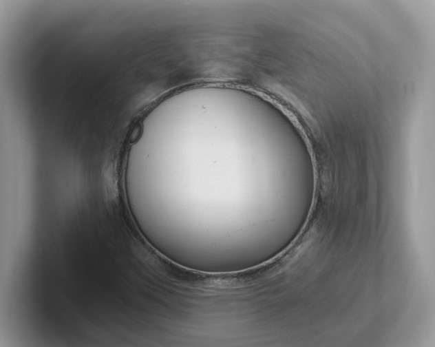 X0000101441451200807211201