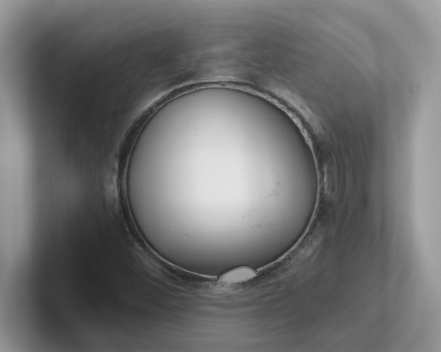 X0000101441452200807211201