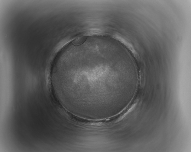 X0000101441453200807211201