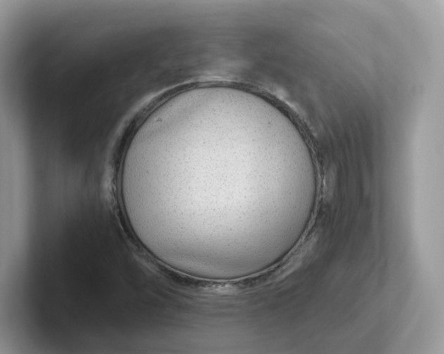 X0000101441454200807211201