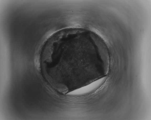 X0000101441455200807211201