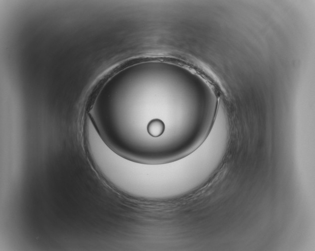 X0000101441456200807211201