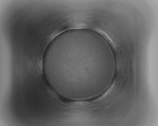 X0000101441457200807211201